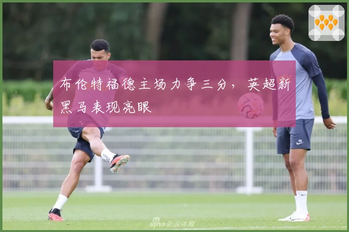 布伦特福德主场力争三分，英超新黑马表现亮眼