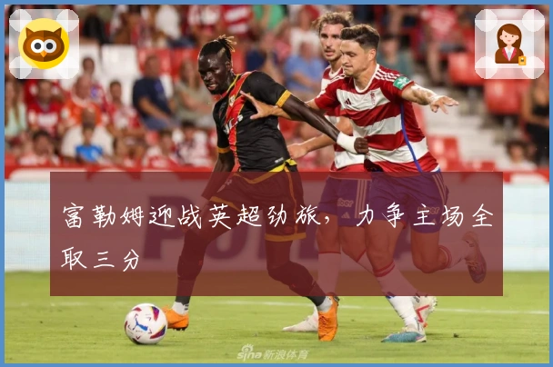 富勒姆迎战英超劲旅，力争主场全取三分