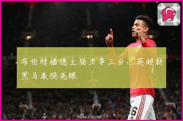 布伦特福德主场力争三分，英超新黑马表现亮眼